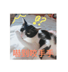 林家のネコたち（個別スタンプ：15）
