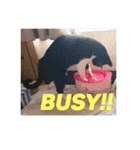 林家のネコたち（個別スタンプ：19）