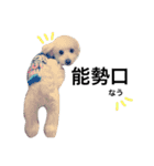 oyamafamily_kuu（個別スタンプ：7）