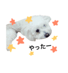 oyamafamily_kuu（個別スタンプ：8）