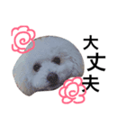 oyamafamily_kuu（個別スタンプ：9）