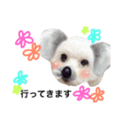 oyamafamily_kuu（個別スタンプ：16）