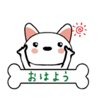 柴犬(白)ごあいさつスタンプ☆彡第一弾！（個別スタンプ：1）