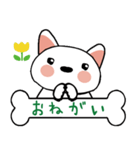 柴犬(白)ごあいさつスタンプ☆彡第一弾！（個別スタンプ：4）