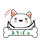 柴犬(白)ごあいさつスタンプ☆彡第一弾！（個別スタンプ：6）