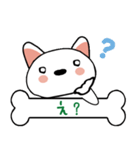 柴犬(白)ごあいさつスタンプ☆彡第一弾！（個別スタンプ：11）