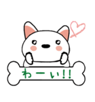 柴犬(白)ごあいさつスタンプ☆彡第一弾！（個別スタンプ：12）