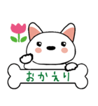 柴犬(白)ごあいさつスタンプ☆彡第一弾！（個別スタンプ：13）