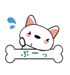 柴犬(白)ごあいさつスタンプ☆彡第一弾！（個別スタンプ：16）