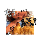 ざわわの毎日（個別スタンプ：2）
