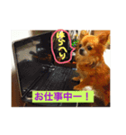 ちっちくんスタンプ2（個別スタンプ：9）