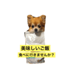 ちっちくんスタンプ2（個別スタンプ：11）