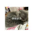 らんあずきもなかここ（個別スタンプ：1）