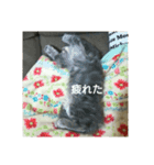 らんあずきもなかここ（個別スタンプ：8）