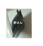 らんあずきもなかここ（個別スタンプ：10）