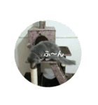 らんあずきもなかここ（個別スタンプ：12）