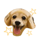 ティナプラム（個別スタンプ：3）
