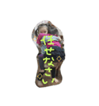 hikari_kojinyou（個別スタンプ：15）
