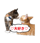 ねこ兄妹 おあげとおこげ（個別スタンプ：8）