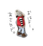 coco1day（個別スタンプ：1）