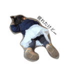 coco1day（個別スタンプ：20）