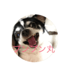 nakachanchi（個別スタンプ：7）