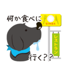 家族専用シンちゃんスタンプ♪（個別スタンプ：20）