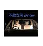 catcatcute catcatcute（個別スタンプ：4）