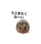 まめたすたんぷ（個別スタンプ：1）