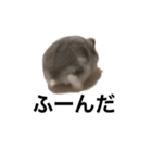 まめたすたんぷ（個別スタンプ：3）