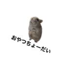 まめたすたんぷ（個別スタンプ：7）
