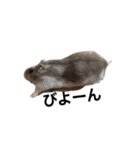 まめたすたんぷ（個別スタンプ：8）