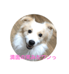 きままなボダコ（個別スタンプ：7）