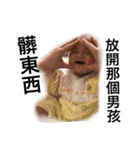 Mr. Cayson 0-6M（個別スタンプ：29）