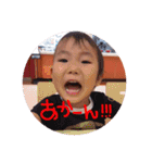 Hakutora.260603（個別スタンプ：16）