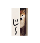 柴犬りんちゃん！スタンプ（個別スタンプ：14）
