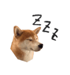 柴犬りんちゃん！スタンプ（個別スタンプ：15）