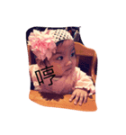 cute anita（個別スタンプ：1）