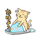 おはぎとわびすけ（個別スタンプ：11）