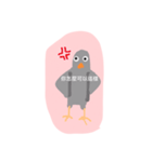 Bird things（個別スタンプ：3）