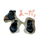 ねこのあいちゃん（個別スタンプ：5）