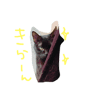 ねこのあいちゃん（個別スタンプ：7）