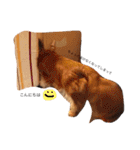 おじいちゃんずの毎日（個別スタンプ：4）