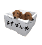 おじいちゃんずの毎日（個別スタンプ：14）