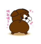 TAIGO DOG（個別スタンプ：3）