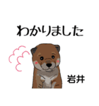 岩井さんが使う可愛い子犬の名前スタンプ（個別スタンプ：5）