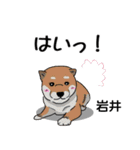 岩井さんが使う可愛い子犬の名前スタンプ（個別スタンプ：22）