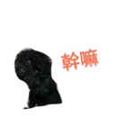BoJi（個別スタンプ：16）