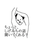 しげみち専用犬スタンプ（個別スタンプ：3）