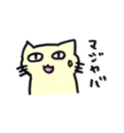 画像に返信する猫（個別スタンプ：24）